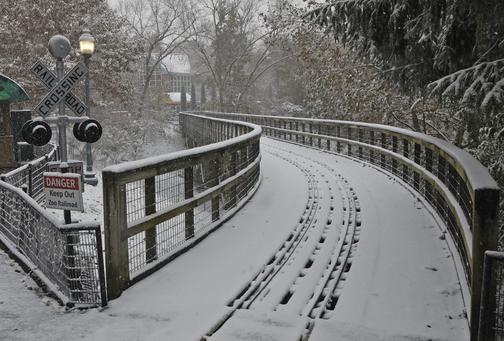 First snow covers the Zoo